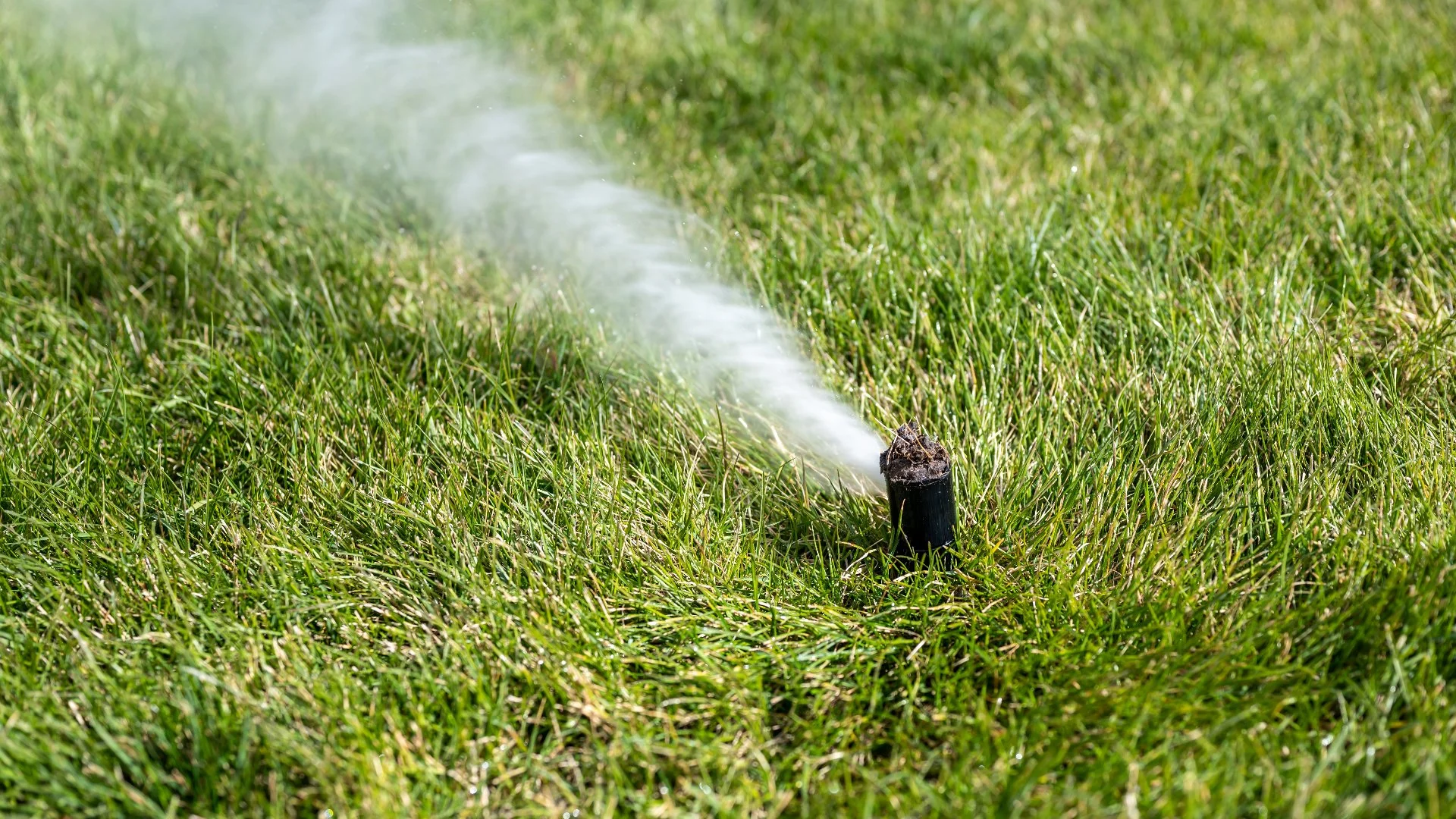 When to Winterize Your Irrigation System in Ann Arbor, MI