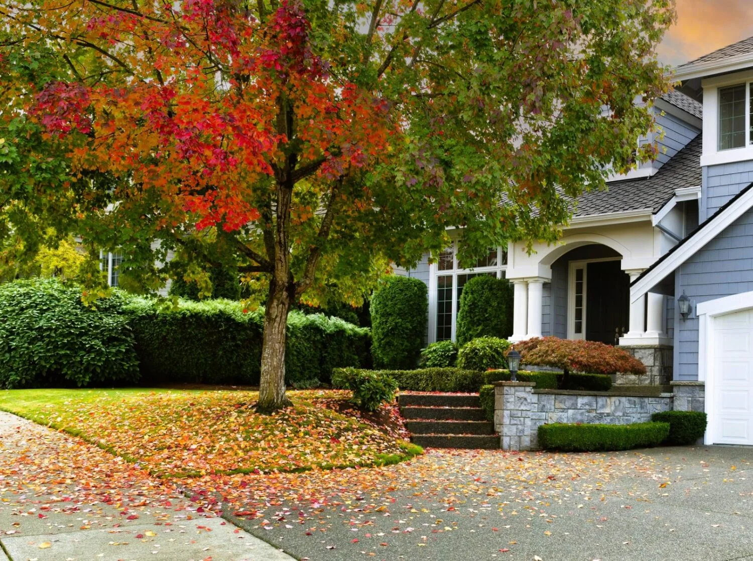 Good Guys: Your Premier Fall Clean-Up Provider in Ann Arbor