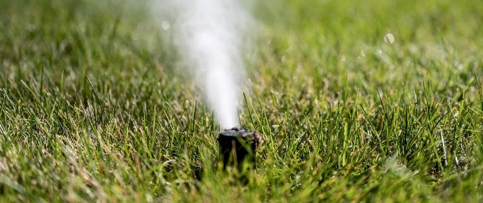Blowing water out of an irrigation sprinkler head in Ann Arbor, MI.