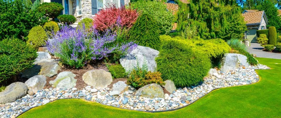 Curvy landscape bed in Ann Arbor, MI, with rocks, stones, shrubs, and flowers.