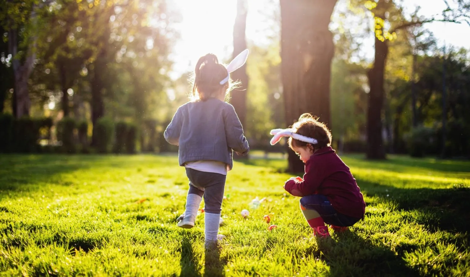 Spring Lawn Care Tips