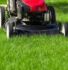 Don’t Wait Until Your Lawn is Overgrown—Hire a Professional Lawn Care Company
