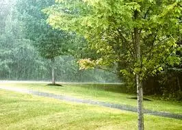 Tackling Spring Showers: The Case for Mowing Wet Lawns