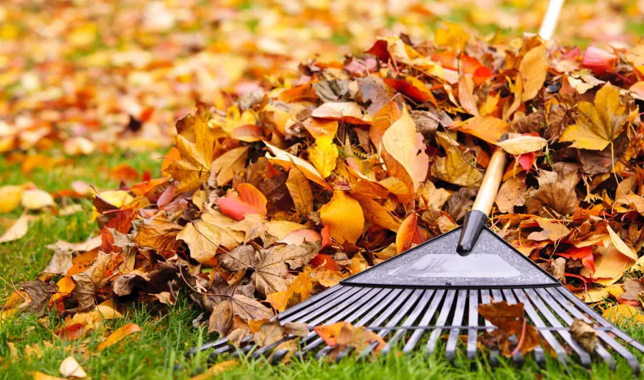 Curbside Leaf Pickup for DIY Fall Cleanup