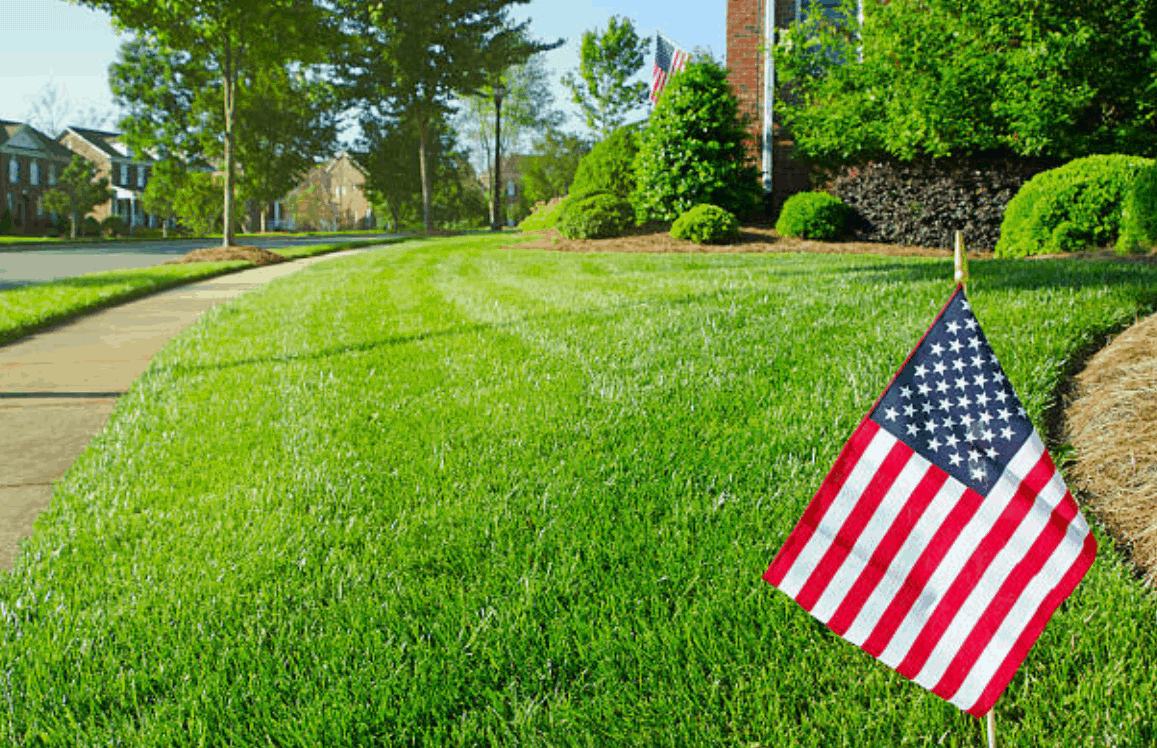 July Lawn Care Tips