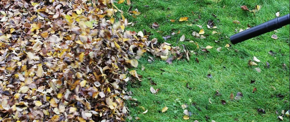 Blowing leaves on a lawn in Ann Arbor, MI.