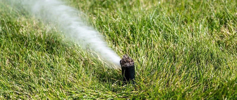 Blowing water out of an irrigation sprinkler head in Ann Arbor, MI.