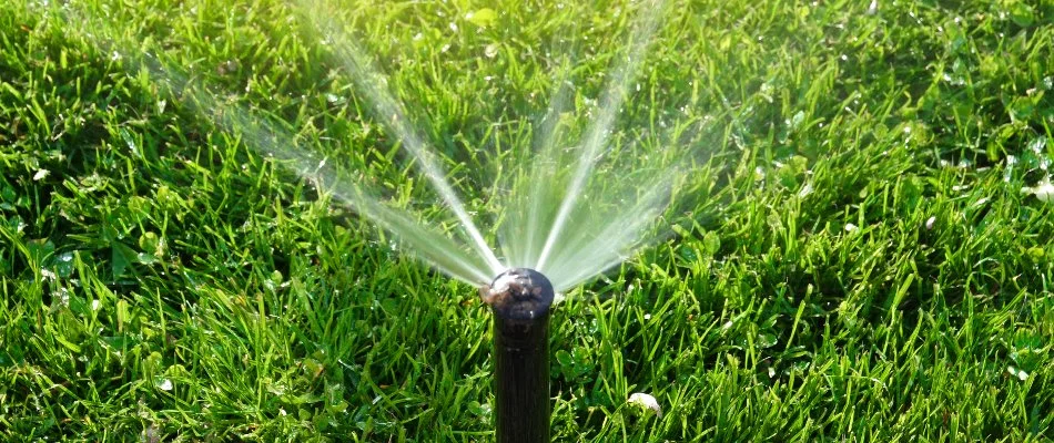 Close up of a sprinkler head in Canton, MI.