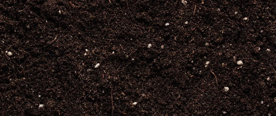 Closeup of dark soil.