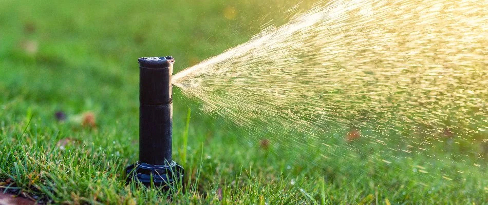 Closeup of a sprinkler head watering grass in Ann Arbor, MI.