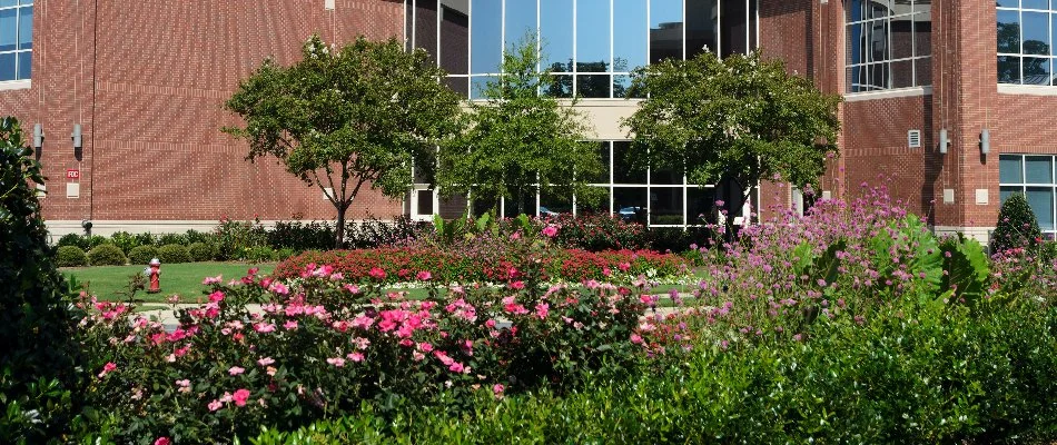 Colorful flowers and trees on commercial grounds in Ann Arbor, MI.
