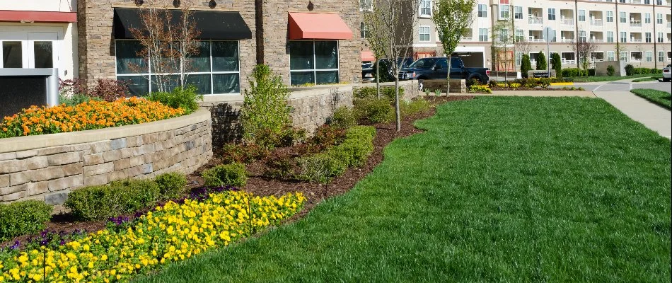 Commercial grounds in Ann Arbor, MI, with green grass and colorful flowers.