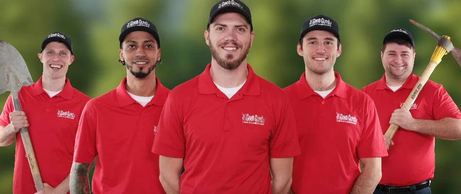 Shrubs that have been recently trimmed in Ann Arbor, MI.