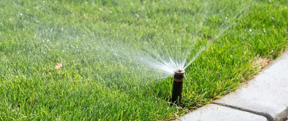 Grass in Salem Township, MI, with irrigation sprinkler head.