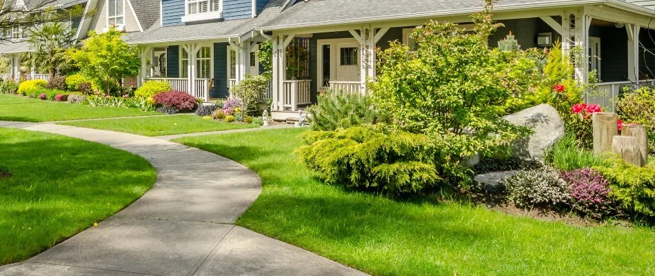 Green grass, lush plants, and flowers in Ann Arbor, MI.