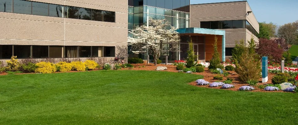 Commercial building in Canton, MI, with green lawn and neat landscaping.
