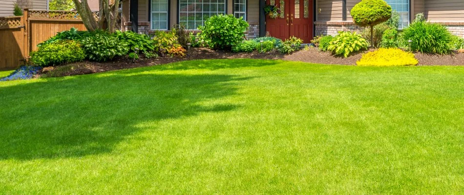 Healthy green lawn next to a landscape bed in Ann Arbor, MI.