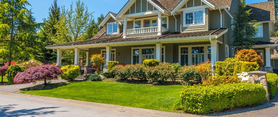 House in Ann Arbor, MI, with green lawn and healthy plants.