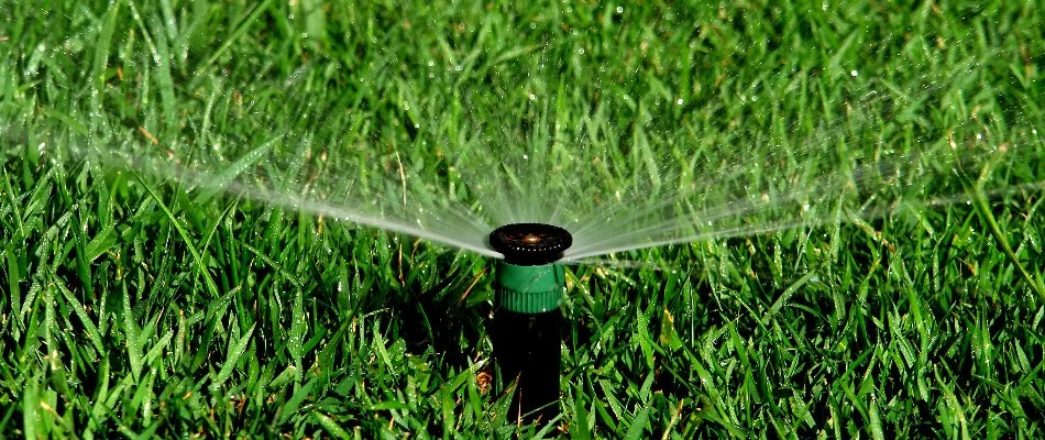 Irrigation sprinkler head on grass in Ann Arbor, MI.