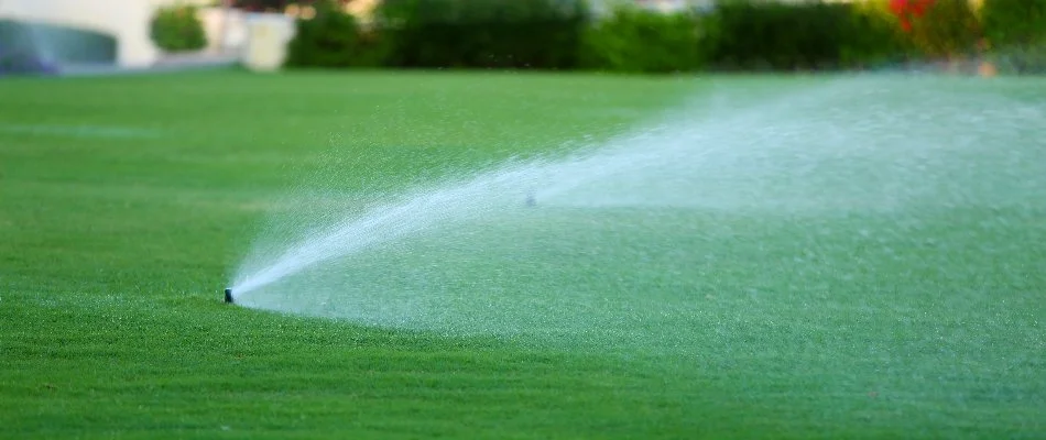 Irrigation sprinkler head watering grass in Ann Arbor, MI.