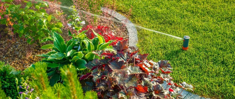Irrigation sprinkler watering plants in Ann Arbor, MI.