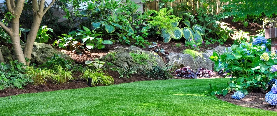 Landscape area in Saline, MI, with flowers and green plants.
