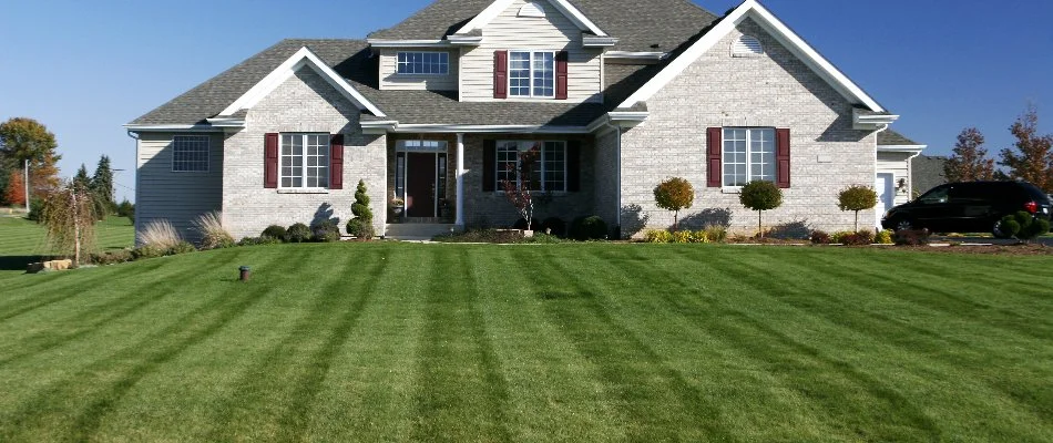 Large, green front lawn in Ann Arbor, MI, with mowing stripes.