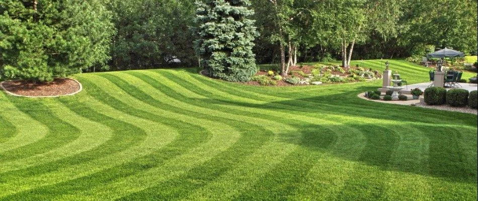 Lawn in Milan, MI, with trees and a patio.