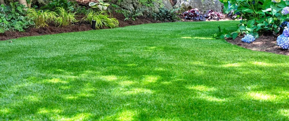Lush lawn in Ypsilanti, MI, with nearby plants.