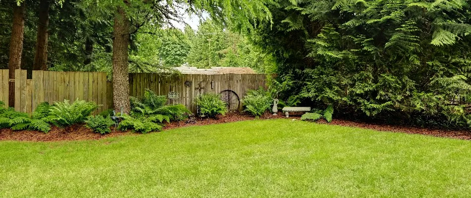 Lush trees by a lawn in Canton, MI.