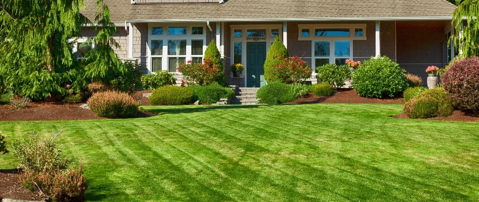 Mowed grass and lush shrubs in Ann Arbor, MI.