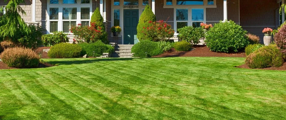 Mowed lawn and green shrubs in Dexter, MI.
