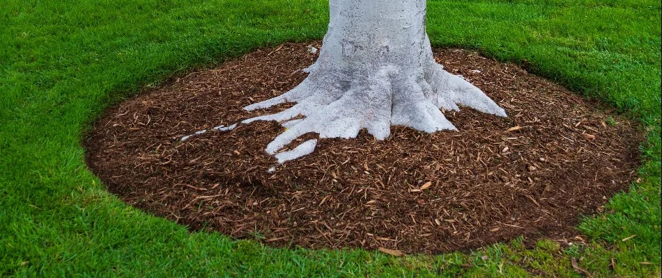 Mulched landscape in Green Oak Charter Township, MI, with a tree.