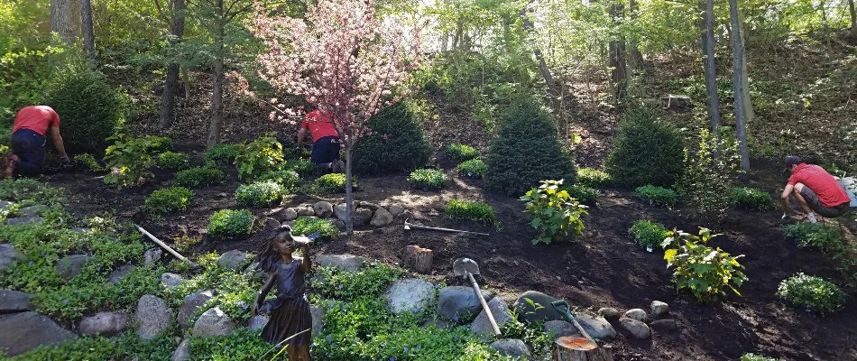 Plants, mulch, and rocks in a landscape with workers.