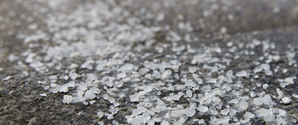 Salt on pavement for deicing in Ann Arbor, MI.