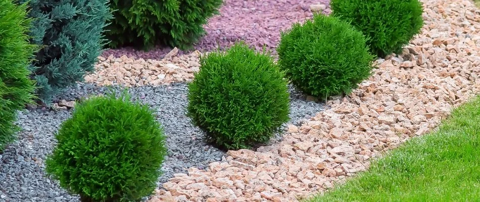 Shrubs and rocks in a landscape in Ann Arbor, MI.