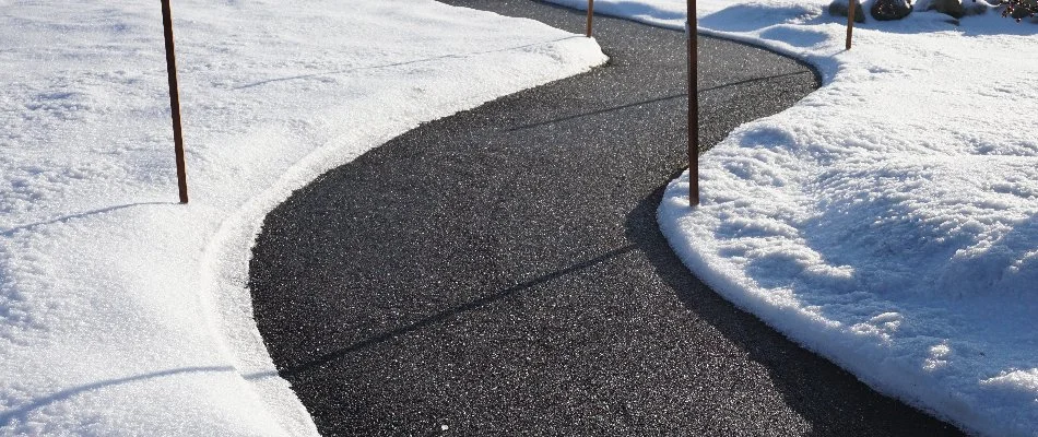 Snow along a cleared walkway in Ann Arbor, MI.