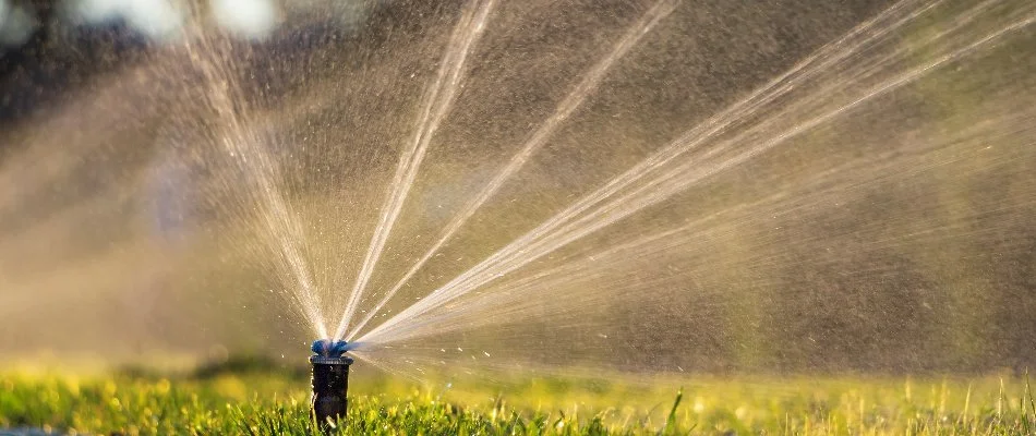 Sprinkler head in Green Oak Charter Township, MI, watering grass.