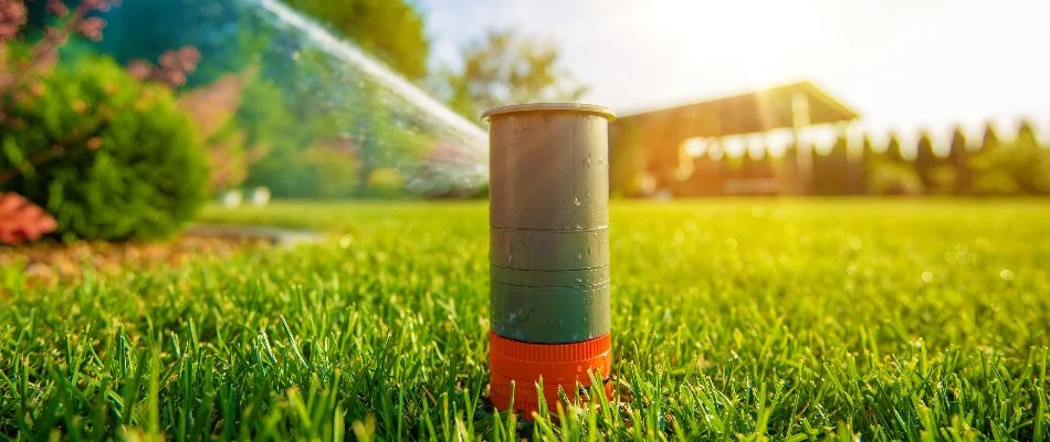 Sprinkler head with a red stripe spraying water on a lawn in Scio Township, MI.