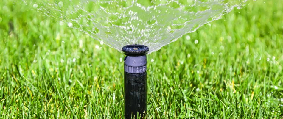 Sprinkler head spraying water on a lawn in South Lyon, MI.