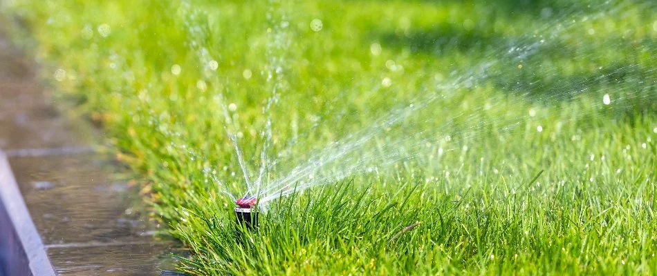 Sprinkler watering grass in Ann Arbor, MI.