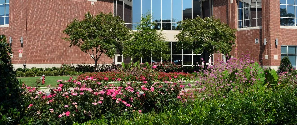 Trees and flowers outside a commercial building in Saline, MI.
