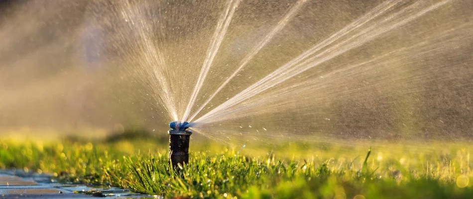Watering a lawn in Dexter, MI, with an irrigation sprinkler system.
