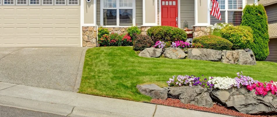 Yard in Hamburg Township, MI, with flowers and shrubs.