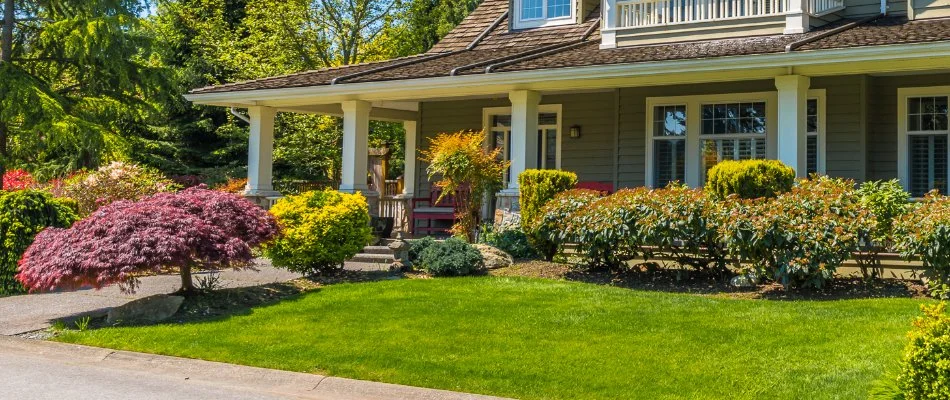 Yard with healthy plants and green grass in Ypsilanti, MI.