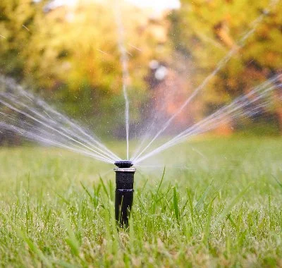 Property with palm trees in Ann Arbor, MI.