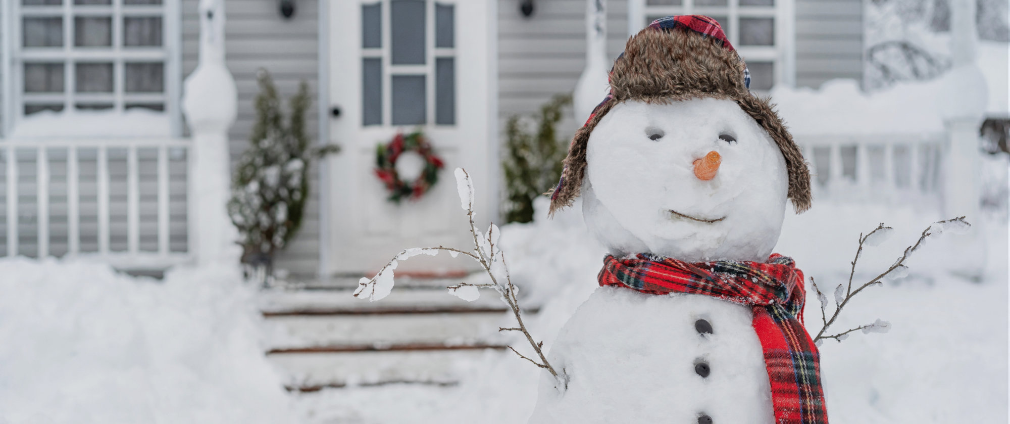 Why Hire a Professional Snow Removal Company?