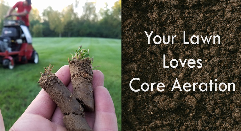 Core aeration benefits